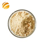 China Supplier Bulk Food Grade Natural Bee Pollen Powder Honey Bee Pollen