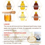 Source Factory 500g Pure Bee Honey Vitex Honey Bulk Order