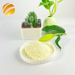 Manufacturer Pure Natural Royal Jelly Freeze-Dried Powder 10-HDA 5% Private Label