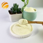 Royal Jelly Supplier NOP EOS Certified Wholesale Royal Jelly Powder 10-HDA 4.0% OEM