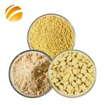 Bee Pollen Manufacturer Wholesale Pure Organic Cracked Cell Wall Bee Pollen Powder Bulk