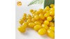 Beijing Beehall Biological Pharmaceutical Co., Ltd.