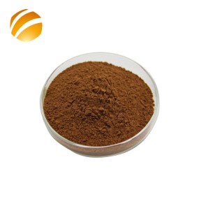 Source Factory Reliable Quality Bee Propolis Extract Powder Bulk Supply