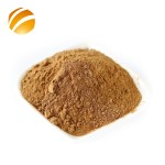 Source Factory Reliable Quality Bee Propolis Extract Powder Bulk Supply