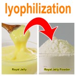 Royal Jelly Supplier NOP EOS Certified Wholesale Royal Jelly Powder 10-HDA 4.0% OEM