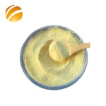 China Supplier Bulk Food Grade Natural Bee Pollen Powder Honey Bee Pollen