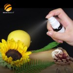 Propolis Factory Hot Sale Alcohol-Free Blueberry Flavor Propolis Oral Spray ODM
