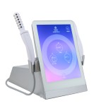 Portable RF Device Manufacturer - Face Lift Vaginal Tightening Beauty Targeted for Virginian Area US ZA UK