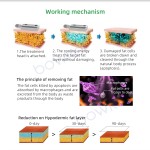 Body Sculpting System Factory - Hot Massage Waist Reduction Chin Removal Cryo Facial Arm Leg