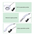 Portable RF Device Manufacturer - Face Lift Vaginal Tightening Beauty Targeted for Virginian Area US ZA UK