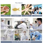 Lutein Ester Tablets - Manufacturing Wholesale Chewable Capsules Supplement