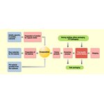 Vitamin B Complex Capsules - Wholesale OEM ODM Immunity Skin Booster