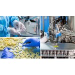 Vitamin D3 K2 Softgels - Wholesale OEM 1000Iu Coconut Oil 2 in 1 Complex