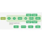 Lactase Enzyme Tablets - Wholesale OEM Chewable Dairy Digestive Supplement