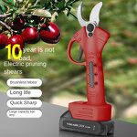 Shanghai Trend International Trade Co., Ltd