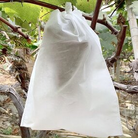 Fruit Protection Bags Manufacturer - Non-Woven Fabric Fruit Netting Cover Bags With Hole for Garden