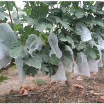 Nonwoven Fabric Manufacturer - Factory Supply High Tear Resistant 100% pp Spunbond for Agriculture