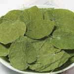 淫羊藿提取物源头工厂-热销草本淫羊藿阴茎增大淫羊藿提取中国草本