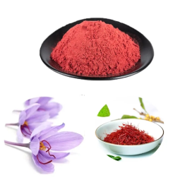 藏红花提取物生产商-厂家供应天然藏红花提取顶级皮肤美容粉末