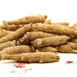 Cherry Blossom Tea - OEM 20 Bags Weight Loss