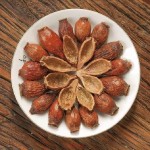 Mongolian Astragalus - OEM Organic Herb Root