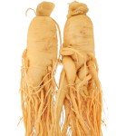 Ginseng Root Factory - High Quality Raw Changbai Mountain Ginseng Root Natural Dry Herb Spice Stick Pattern