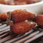 Mongolian Astragalus - OEM Organic Herb Root