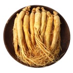 Ginseng Root Factory - High Quality Raw Changbai Mountain Ginseng Root Natural Dry Herb Spice Stick Pattern