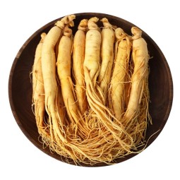 人参根源头工厂-高品质原料长白山人参根天然干草药香料棒状