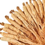 Ginseng Root Factory - High Quality Raw Changbai Mountain Ginseng Root Natural Dry Herb Spice Stick Pattern