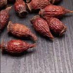 Mongolian Astragalus - OEM Organic Herb Root