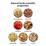 排毒茶生产商-有机中国菊花籽茶批量盒装护肝配方