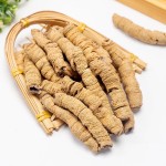 巴戟天根生产商-100%天然中国草本巴戟天巴戟天切片巴戟天根