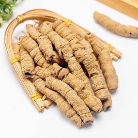 Morinda Root Manufacturer - 100% Natural Chinese Herbal Morinda Root Ba Ji Tian Slice Radix Morindae Officinalis