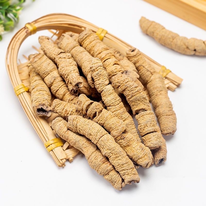 Morinda Root Manufacturer - 100% Natural Chinese Herbal Morinda Root Ba Ji Tian Slice Radix Morindae Officinalis
