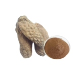 肉苁蓉提取物源头工厂-纯天然管花肉苁蓉提取粉有机提升性欲
