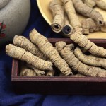 巴戟天根生产商-100%天然中国草本巴戟天巴戟天切片巴戟天根