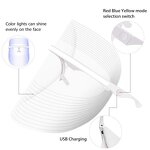 LED Light Therapy Mask Manufacturer - Professional USB Rechargeable Portable 3 Color for Salon