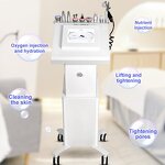 9-in-1 Oxygen Facial Machine - Wholesale Skin Care Face Lifting Beauty Tool