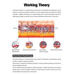 2-in-1 Shock Therapy Machine - Electromagnetic Pneumatic Body Massage Tool