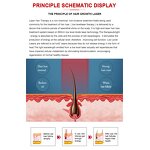 Laser Hair Growth Cap - Diode LED Light Anti Hair Loss Scalp Massage Machine