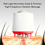 Scalp Care Device Manufacturer - Hair Loss Growth Massager Electric Serum Applicator Brush Led Comb