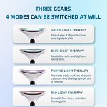 Facial Massager Manufacturer - Home Use LED Photon Micro-current Anti-aging EMS