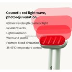 Facial Wand Manufacturer - New Arrival 4 in 1 Magic 650nm Anti-aging EMS Red Light Therapy