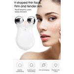 Neck Lifting Massager Manufacturer - Double head hand-held for facial wrinkles repair low MOQ