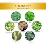 瘦身咖啡生产商-贴牌阿拉比卡速溶瘦身绿咖啡减肥瘦身美容生活