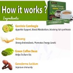 Slim Coffee Factory - Natural Flat Belly Winstown Coffee for Meal Replacement Powder Slim Tummy