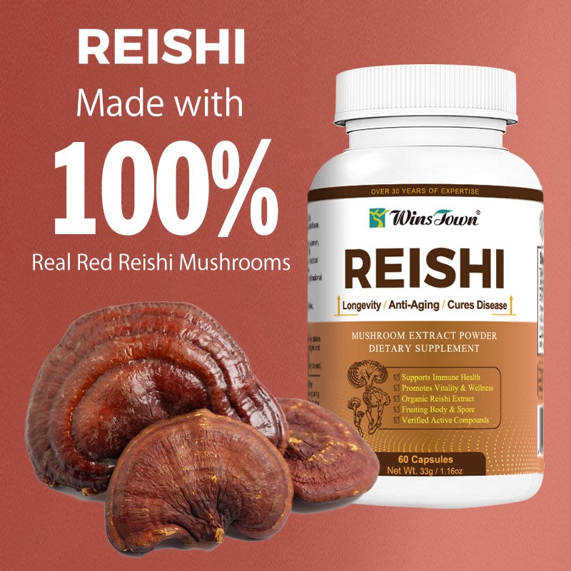 Reishi Mushroom Extract Manufacturer - OEM Organic Ganoderma Spore Powder