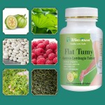 平坦腹部片剂生产商-温斯顿瘦身草本藤黄果胶囊贴牌腹部瘦身