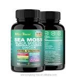 Children Vitamin Gummies Manufacturer - OEM Custom Kids Supplement